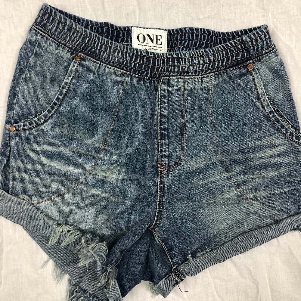 One Teaspoon Hunter Shorts